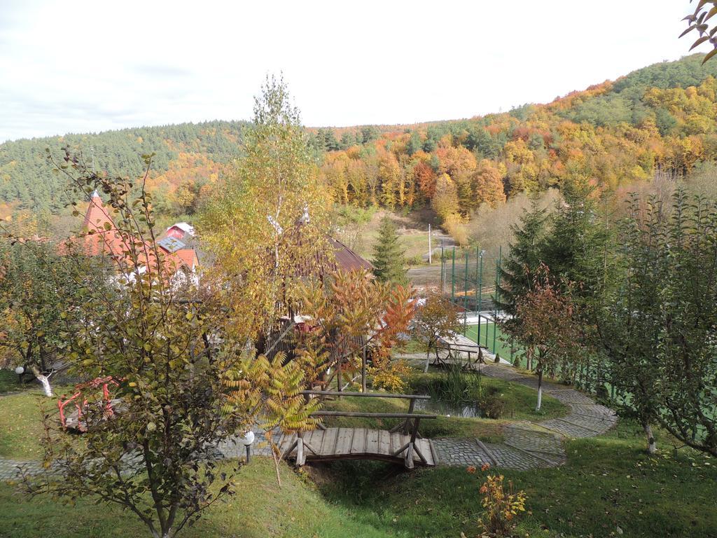Mokus Panzio Bed and Breakfast Bicfălău Esterno foto