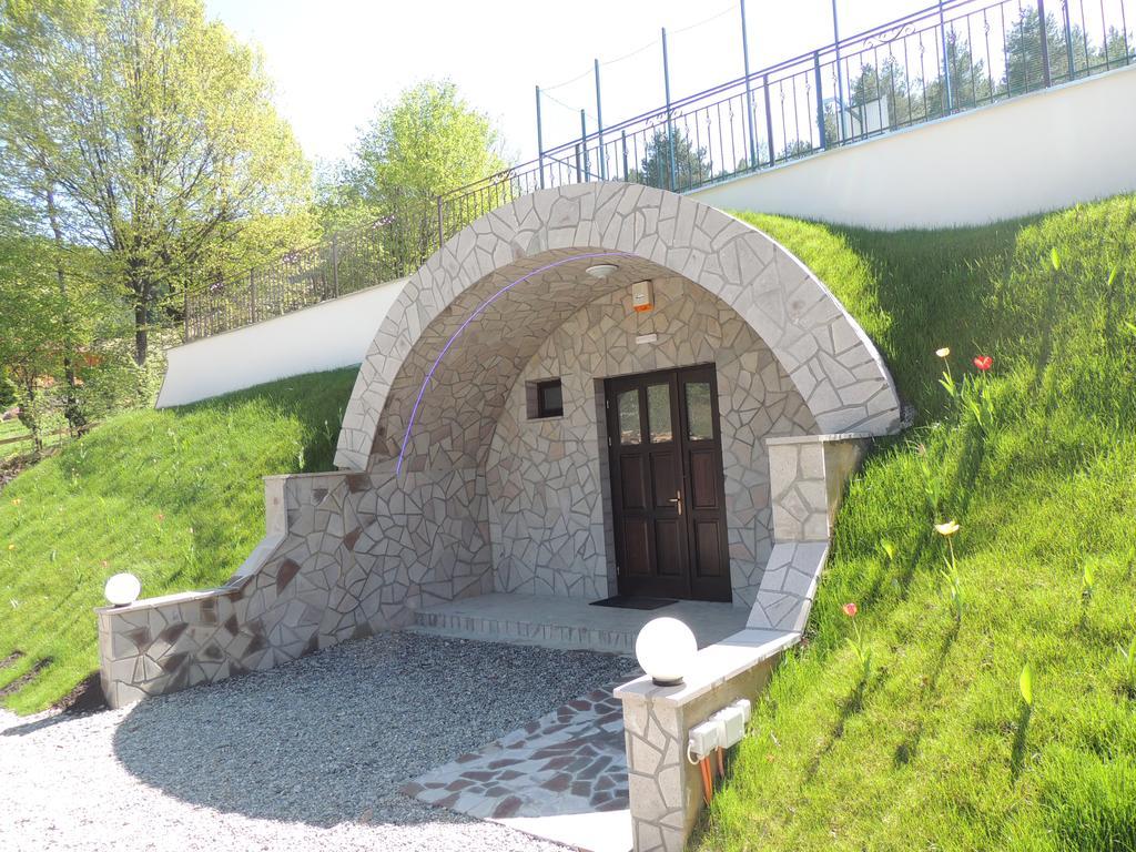 Mokus Panzio Bed and Breakfast Bicfălău Esterno foto